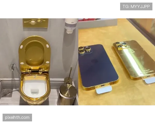范迪克家里马桶镶金边？